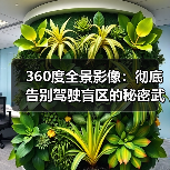 360度全景影像:彻底告别驾驶盲区的秘密武器(图2) 360度全景影像:彻底告别驾驶盲区的秘密武器(图2)