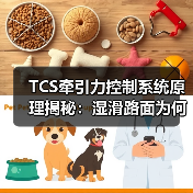 TCS牵引力控制系统原理揭秘:湿滑路面为何更稳更安全?(图2) TCS牵引力控制系统原理揭秘:湿滑路面为何更稳更安全?(图2)