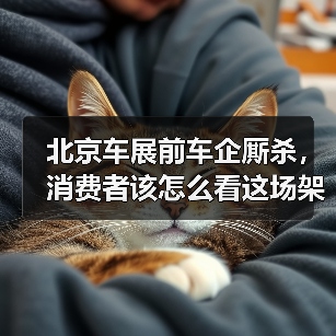北京车展前车企厮杀,消费者该怎么看这场架?(图3) 北京车展前车企厮杀,消费者该怎么看这场架?(图3)