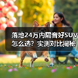 落地24万内隔音好SUV怎么选?实测对比揭秘(图2) 落地24万内隔音好SUV怎么选?实测对比揭秘(图2)