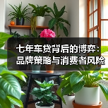 七年车贷背后的博弈:品牌策略与消费者风险谁在算账?(图3) 七年车贷背后的博弈:品牌策略与消费者风险谁在算账?(图3)