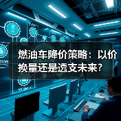 燃油车降价策略:以价换量还是透支未来?(图2) 燃油车降价策略:以价换量还是透支未来?(图2)