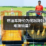 燃油车降价为何越降越难提销量?(图4) 燃油车降价为何越降越难提销量?(图4)
