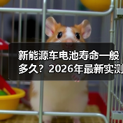 新能源车电池寿命一般多久?2026年最新实测:别被“8年质保”骗了(图2) 新能源车电池寿命一般多久?2026年最新实测:别被“8年质保”骗了(图2)