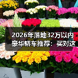 2026年落地32万以内豪华轿车推荐:买对这几台,面子里子都稳了(图2) 2026年落地32万以内豪华轿车推荐:买对这几台,面子里子都稳了(图2)