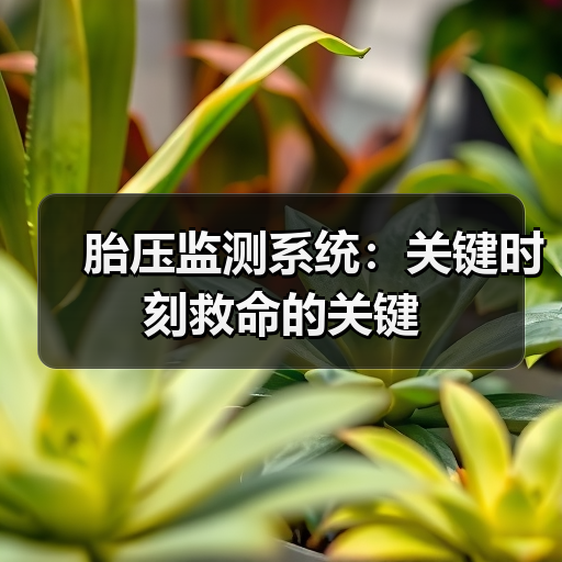 胎压监测系统:关键时刻救命的关键(图1) 胎压监测系统:关键时刻救命的关键(图1)