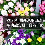 2026年最新汽车自动泊车功能实测:真能“闭眼停”?我用38次倒车给答案(图4) 2026年最新汽车自动泊车功能实测:真能“闭眼停”?我用38次倒车给答案(图4)
