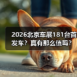2026北京车展181台首发车?真有那么值吗?(图4) 2026北京车展181台首发车?真有那么值吗?(图4)