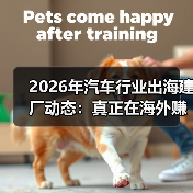 2026年汽车行业出海建厂动态：真正在海外赚钱的，不是“跑得快”而是“落得稳” - 智穹界新车资讯站