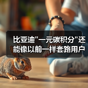 比亚迪 比亚迪一元碳积分还能像以前一样套路用户吗?(图3)