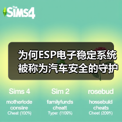 为何ESP电子稳定系统被称为汽车安全的守护神?(图4) 为何ESP电子稳定系统被称为汽车安全的守护神?(图3)