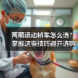 两厢运动轿车怎么选？掌握这些技巧避开选购陷阱 - 智穹界新车资讯站