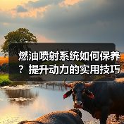 燃油喷射系统如何保养？提升动力的实用技巧揭秘(图1)