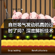 自然吸气发动机真的过时了吗?深度解析技术魅力与未来走向(图1) 自然吸气发动机真的过时了吗?深度解析技术魅力与未来走向(图1)
