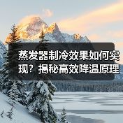 蒸发器制冷效果如何实现?揭秘高效降温原理(图1) 蒸发器制冷效果如何实现?揭秘高效降温原理(图1)