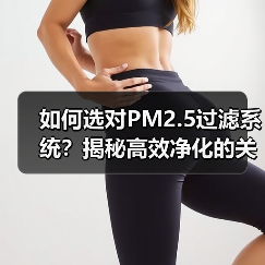 如何选对PM2.5过滤系统?揭秘高效净化的关键技巧(图2) 如何选对PM2.5过滤系统?揭秘高效净化的关键技巧(图2)