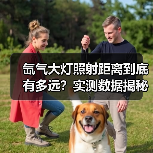 氙气大灯照射距离到底有多远?实测数据揭秘(图1) 氙气大灯照射距离到底有多远?实测数据揭秘(图1)