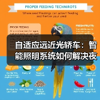 自适应远近光轿车:智能照明系统如何解决夜间驾驶烦恼?(图2) 自适应远近光轿车:智能照明系统如何解决夜间驾驶烦恼?(图2)