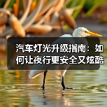 汽车灯光升级指南:如何让夜行更安全又炫酷(图2) 汽车灯光升级指南:如何让夜行更安全又炫酷(图2)