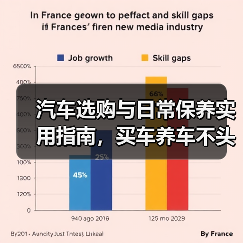 汽车选购与日常保养实用指南，买车养车不头疼 - 智穹界新车资讯站