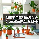 新车家用车配置怎么选?2025年用车成本控制5大建议(图2) 新车家用车配置怎么选?2025年用车成本控制5大建议(图2)