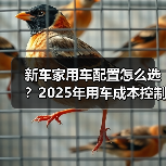 新车家用车配置怎么选?2025年用车成本控制5大建议(图3) 新车家用车配置怎么选?2025年用车成本控制5大建议(图3)