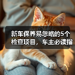 新车保养易忽略的5个检查项目,车主必读指南(图2) 新车保养易忽略的5个检查项目,车主必读指南(图2)