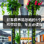 新车保养易忽略的5个检查项目,车主必读指南(图1) 新车保养易忽略的5个检查项目,车主必读指南(图1)