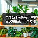 汽车新车选购与日常保养实用指南:5个方法避开陷阱(图3) 汽车新车选购与日常保养实用指南:5个方法避开陷阱(图3)