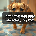 汽车新车选购与日常保养实用指南，5个方法避坑 - 智穹界新车资讯站