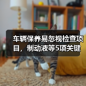 车辆保养易忽视检查项目,制动液等5项关键点(图3) 车辆保养易忽视检查项目,制动液等5项关键点(图3)