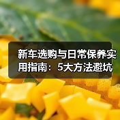新车选购与日常保养实用指南:5大方法避坑省钱(图3) 新车选购与日常保养实用指南:5大方法避坑省钱(图3)