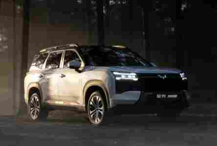 五菱，看见“沉默的大多数”(图3)