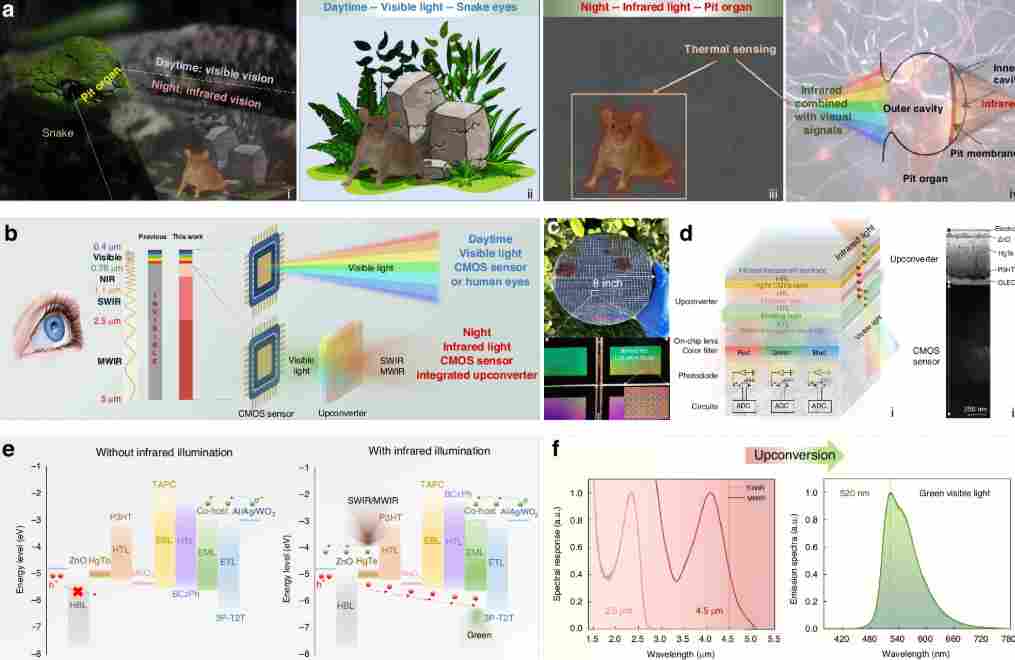 【全球汽车新技术观察】12月上期〡马瑞利推出Affordable 5G RedCap技术 用于车辆远程信息处理；英伟达发布自动驾驶开源AI模型Alpamayo-R1；受蛋清启发，KIMS开发高性能散热复合材料(图7)