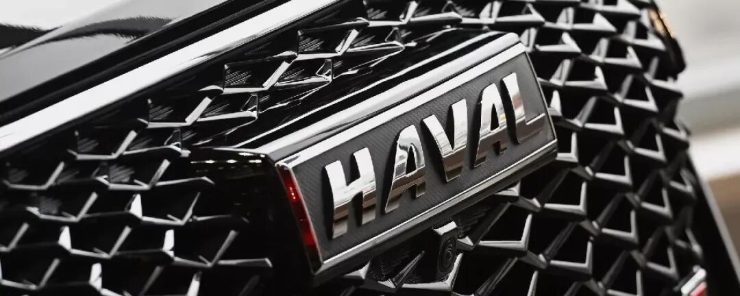 长城汽车的2025：加速调整，加速出海！(图2)