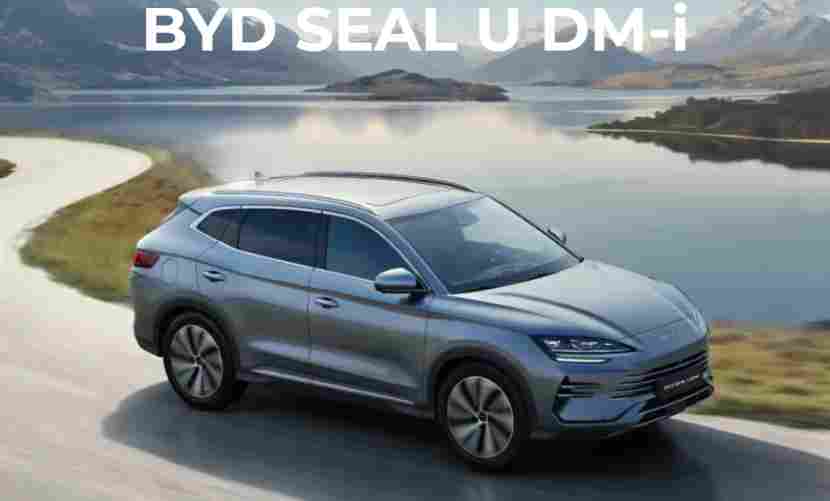 中国车企组团攻坚欧洲，背后藏着什么破局密码？(图2)