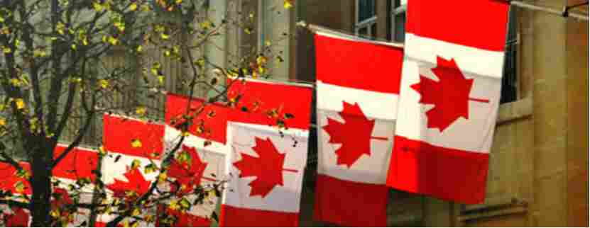 加拿大计划出台汽车新政！本土设厂优先，关税博弈谁能笑到最后？(图1)