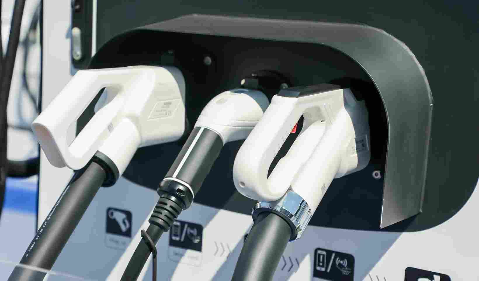 晓莺说 | 世界大而不同(图1)