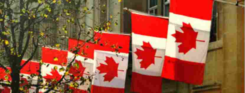 为何专家认为2026年加拿大二手车价格难有回落 - 领驭达新车资讯站